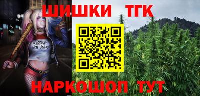 дживик Аша