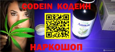 дживик Аша