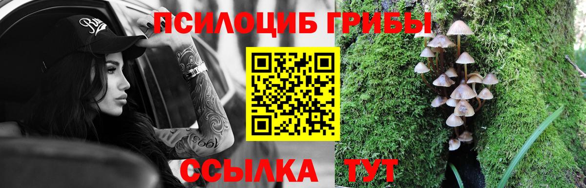 Екатеринбург  Псилоцибиновые грибы GOLDEN TEACHER  Вход с VPN 